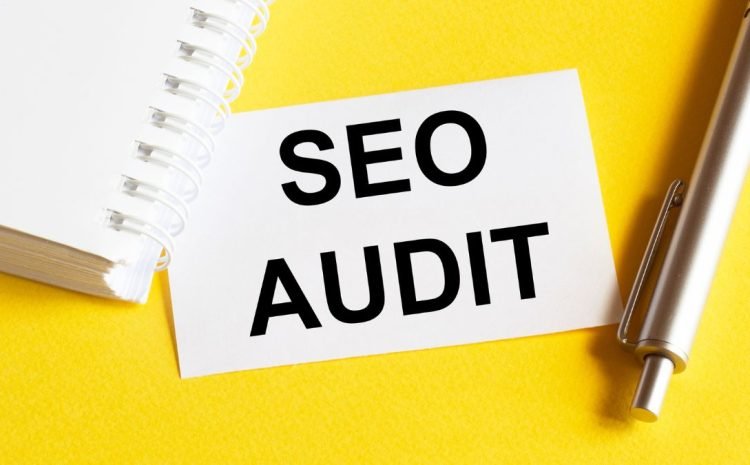 SEO auditor analyzing website performance metrics and data for optimization.